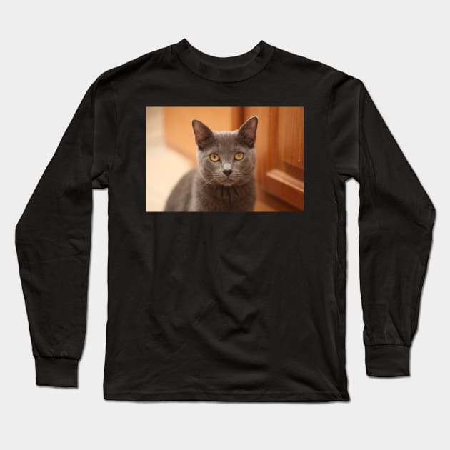 Russian Blue Kitten Long Sleeve T-Shirt by Kelly Louise Art